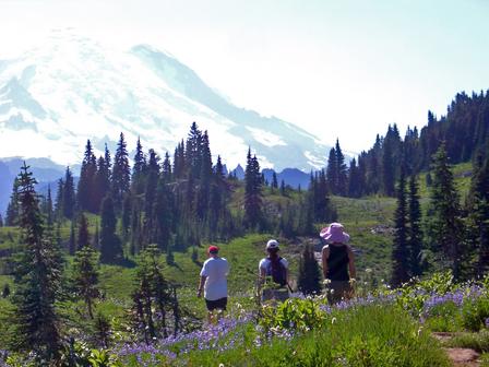 Hiking along