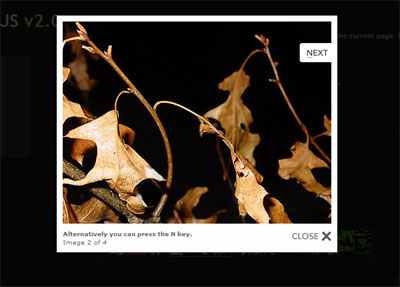 Screenshot of Lightbox JS 2.0 In
Action