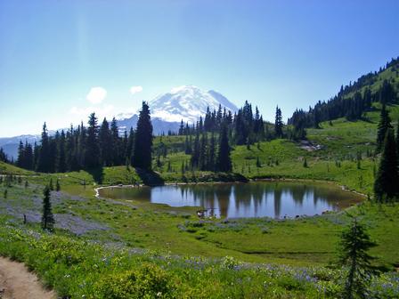 Mt. Rainier