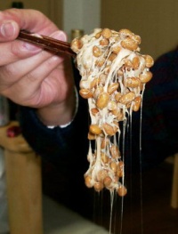 Image of Natto