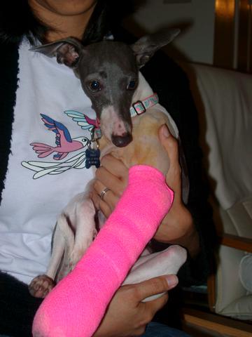 Twiggy with her cast