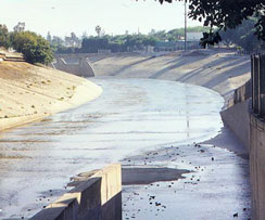 Ballona Creek