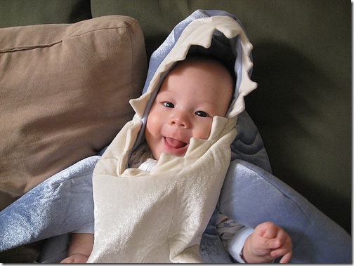 Cody in a shark
costume