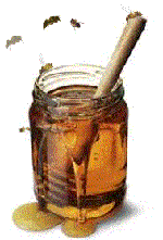 honeypot image from
http://www.cs.vu.nl/\~herbertb/misc/shelia/