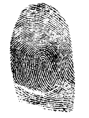 Fingerprint via public domain clipart