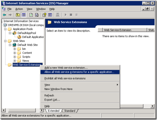 iis6-allowing-extensions